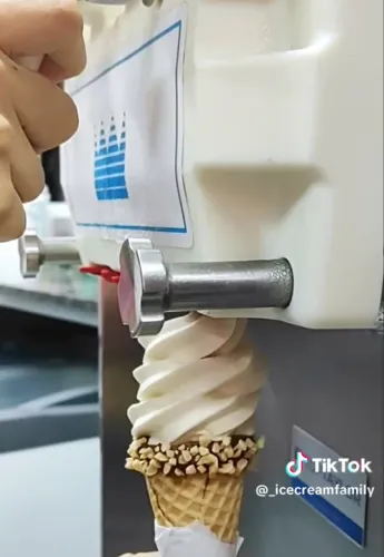 Oferta imperdível 09/09 Máquina de Sorvete expresso Taylor