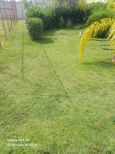 Limpeza de terrenos e gramados