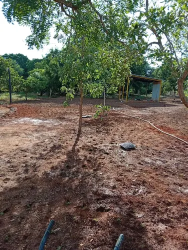 Grama da melhor qualidade!venha fazer seu orçamento conosco.