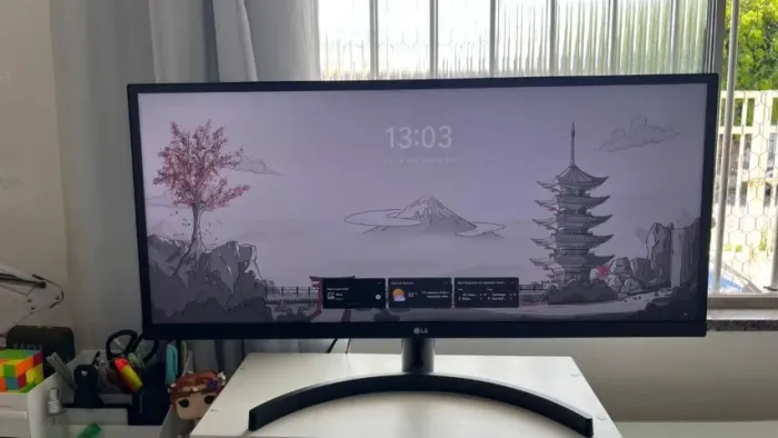 Monitor Ultra Wide LG 29WL500-B
