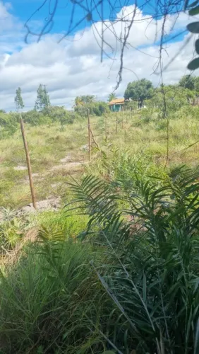 Terreno 10x25