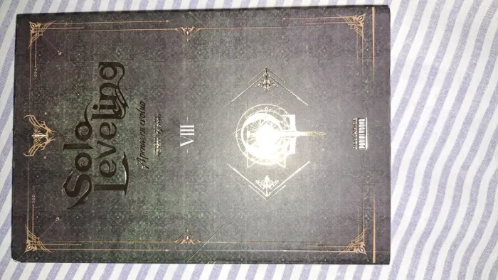 Solo leveling novel 08