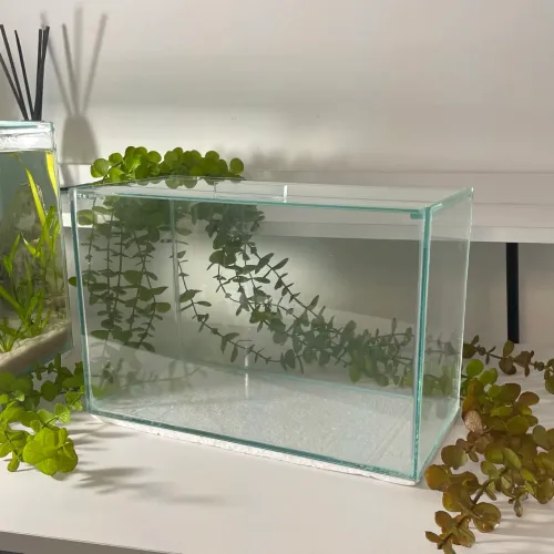 Aquário NOVO 10L
