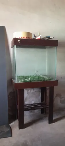 Aquário 60L
