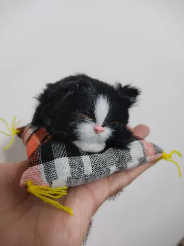 Pelúcia Gatinho dormindo 11x10cm