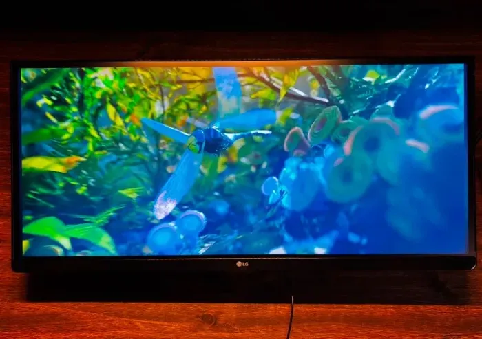 Monitor LG 25UM58-P Ultrawide 25 Full HD 21-9