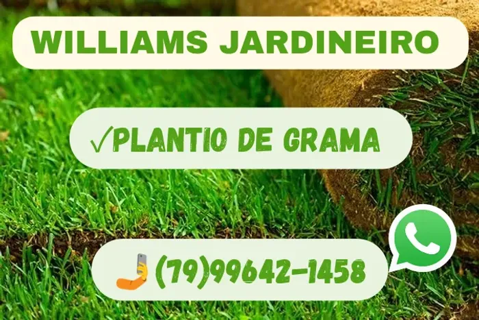 Plantio de Gramas