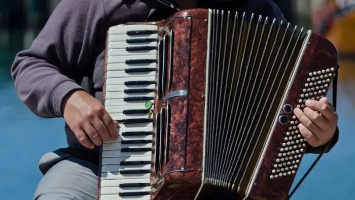 Show de Forró ao vivo 
