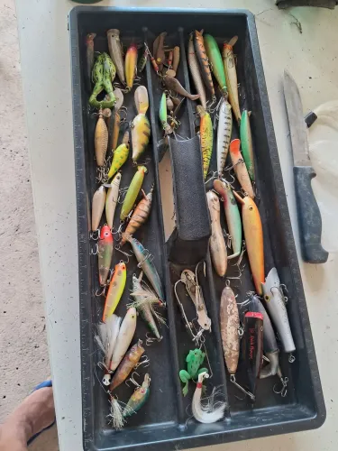 Tralhas de pesca