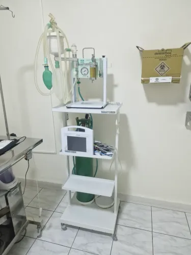 Clínica Veterinária - instalação, móveis e equipamentos - Passo ponto