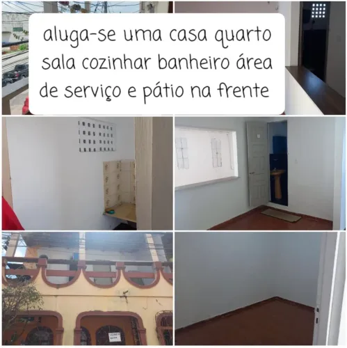 Alugo Apto Vieiralves 