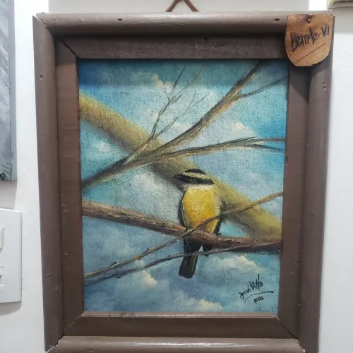 Pintura em tela - Bem Te Vi