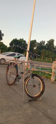 Bike cargueira