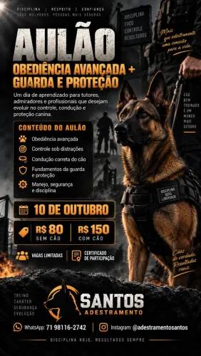 Aulão de adestramento