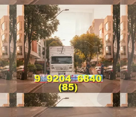 Mudança com alta qualidade e rapidez! Fale comigo e garanta o seu frete hoje!