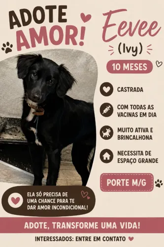 ADOÇÃO