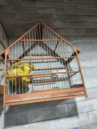 Gaiola de madeira