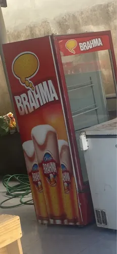 Freezer Brahma 