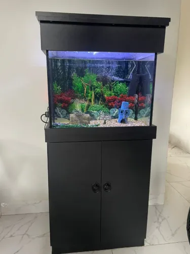 Aquário 60l
