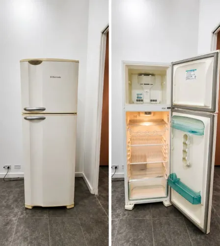 Geladeira Eletrolux 310l