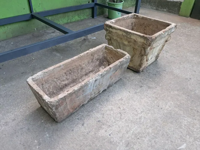 Vasos de plantas de cimento