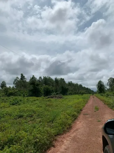 Fazenda para Venda em Miracema do Tocantins, 5 dormitórios