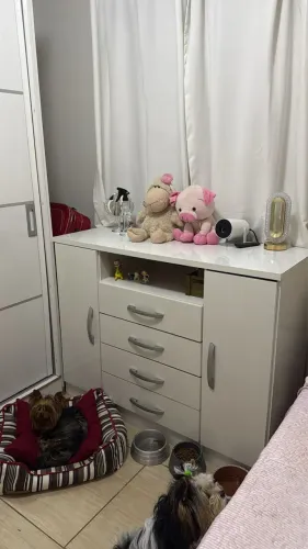 Vende guarda roupa semi novo e cômoda