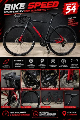 Bicicleta speed