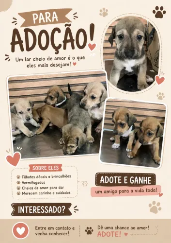 Cachorrinhos para adoção