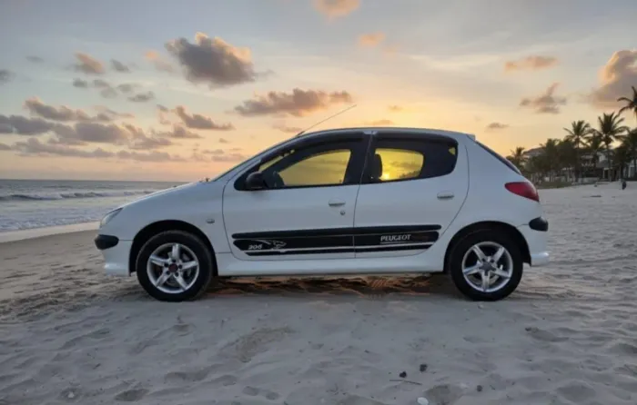 Peugeot 206 Presence 1.4/ 1.4 Flex 8V 5P 2004