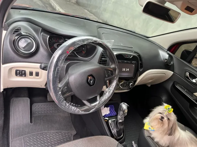 Renault Captur Intense 1.6 16V Flex 5P Aut. 2019