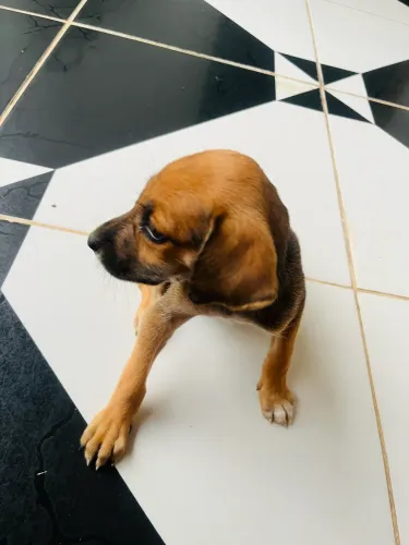 Doação responsável!