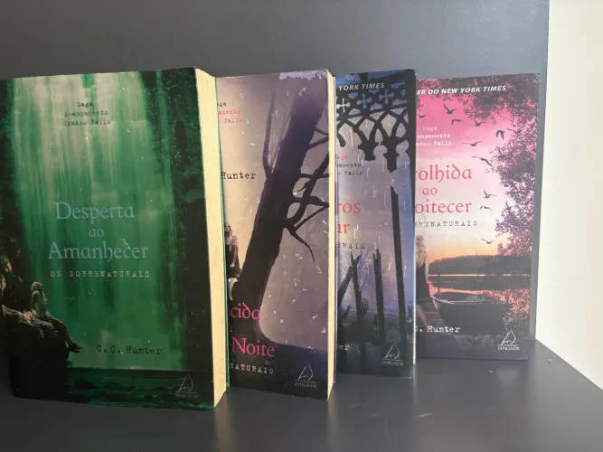 4 livros saga acampamento shadow fall