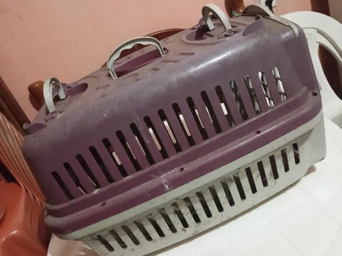 Casinha para pet
