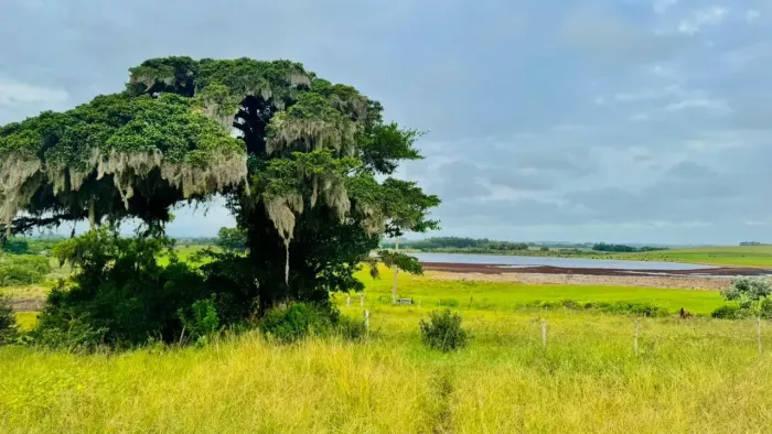 Velleda oferece Espetacular terreno pronto para construção com vista eterna em Águas Clar