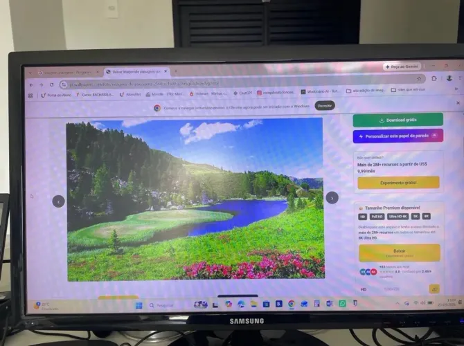 Monitor Samsung gamer 24 polegadas usado
