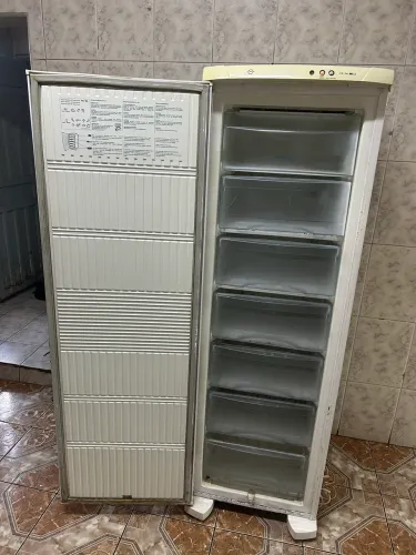 Freezer vertical