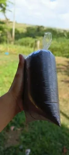 Açaí