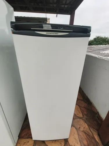 Freezer Vertical 220v