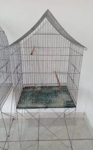 Viveiro 2 (Obs: Leia a descrição do anúncio)