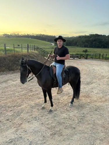 Vendo Cavalo Registrado 