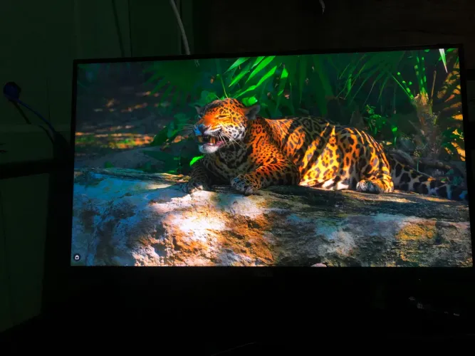 MONITOR AOC 21? 75Hz 1080p PERFEITO ESTADO
