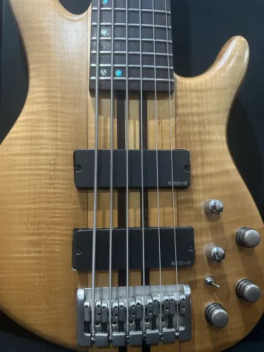 Baixo Cort A6 EMG