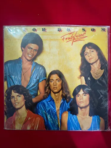 Lps Discos Vinis A Cor do Som 1977 e Frutificar