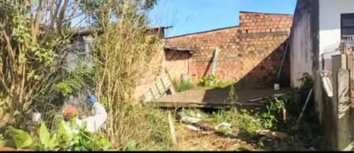 -DW Jardinagem- limpeza de pátio e frete 