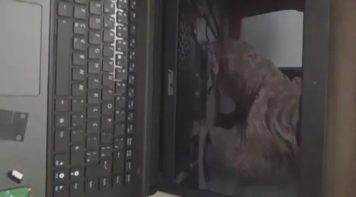 Notebook pra retirada de peças