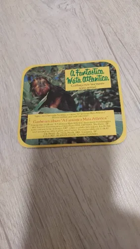 Cartão de Apresentação Chocolate Surpresa A Fantástica Mata Atlântica