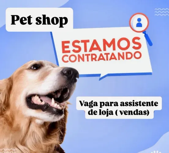 Oportunidade assistente de loja