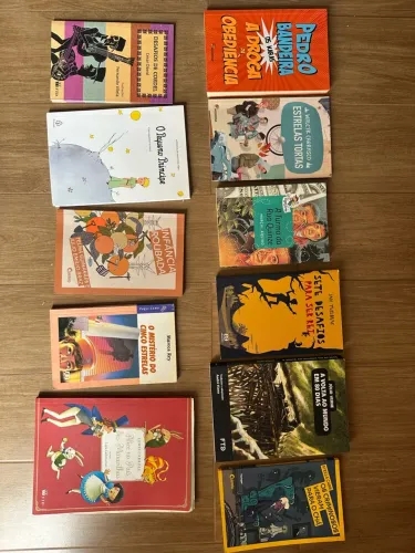 Livros literários 7 ano