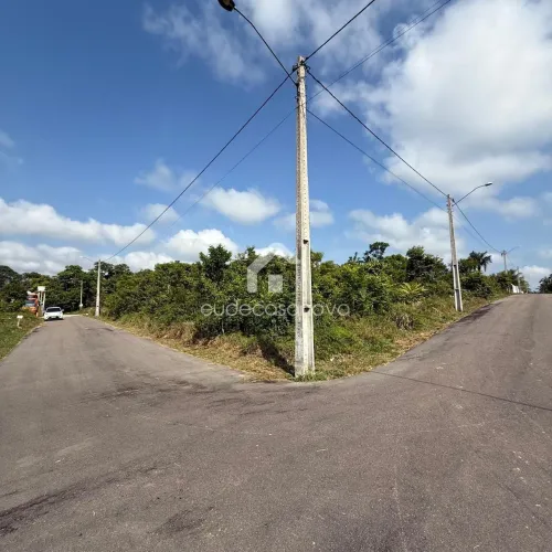 Lote / Chácaras de January - Iranduba